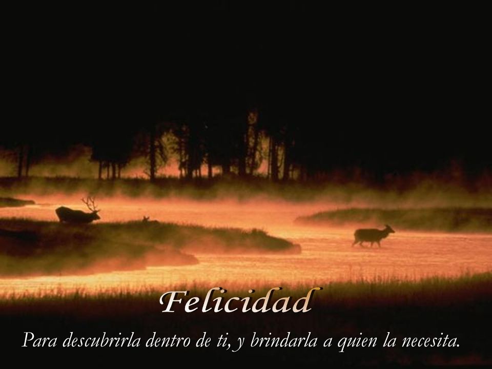Para descubrirla dentro de ti, y brindarla a quien la necesita.