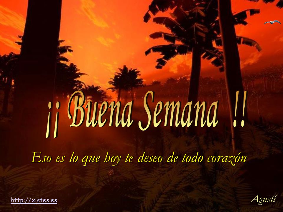 Eso es lo que hoy te deseo de todo corazón