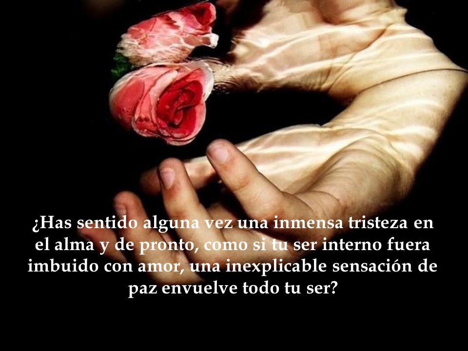 ¿Has sentido alguna vez una inmensa tristeza en el alma y de pronto, como si tu ser interno fuera imbuido con amor, una inexplicable sensación de paz envuelve todo tu ser
