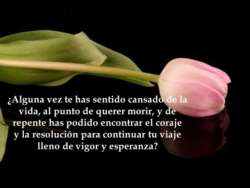 ¿Alguna vez te has sentido cansado de la vida, al punto de querer morir, y de repente has podido encontrar el coraje y la resolución para continuar tu viaje lleno de vigor y esperanza