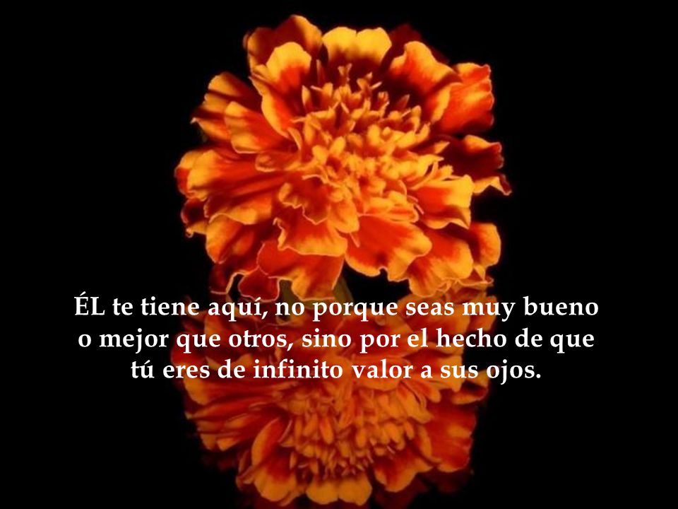 ÉL te tiene aquí, no porque seas muy bueno o mejor que otros, sino por el hecho de que tú eres de infinito valor a sus ojos.