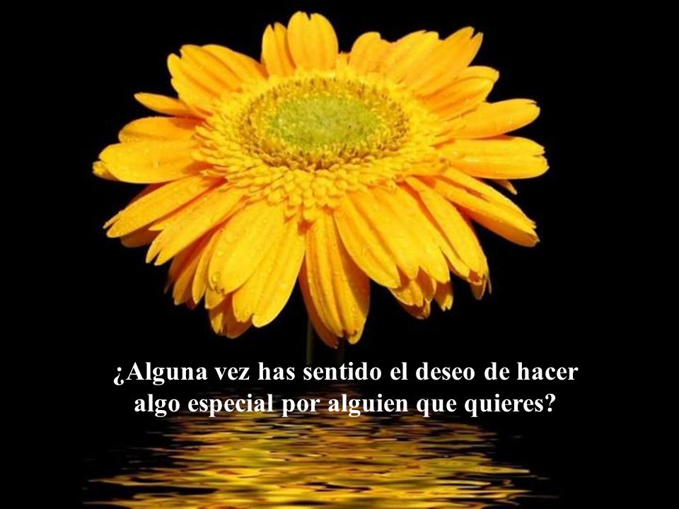 ¿Alguna vez has sentido el deseo de hacer algo especial por alguien que quieres