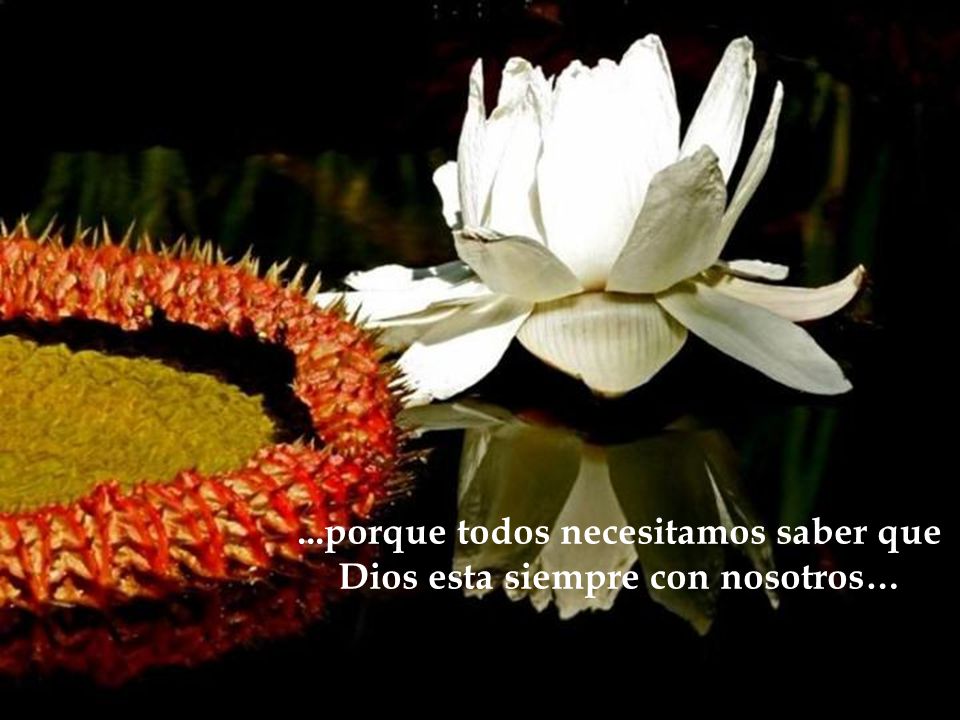 ...porque todos necesitamos saber que Dios esta siempre con nosotros…