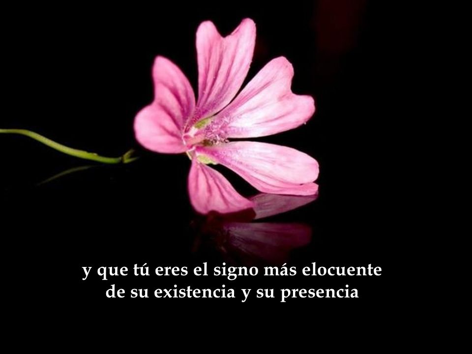 y que tú eres el signo más elocuente de su existencia y su presencia