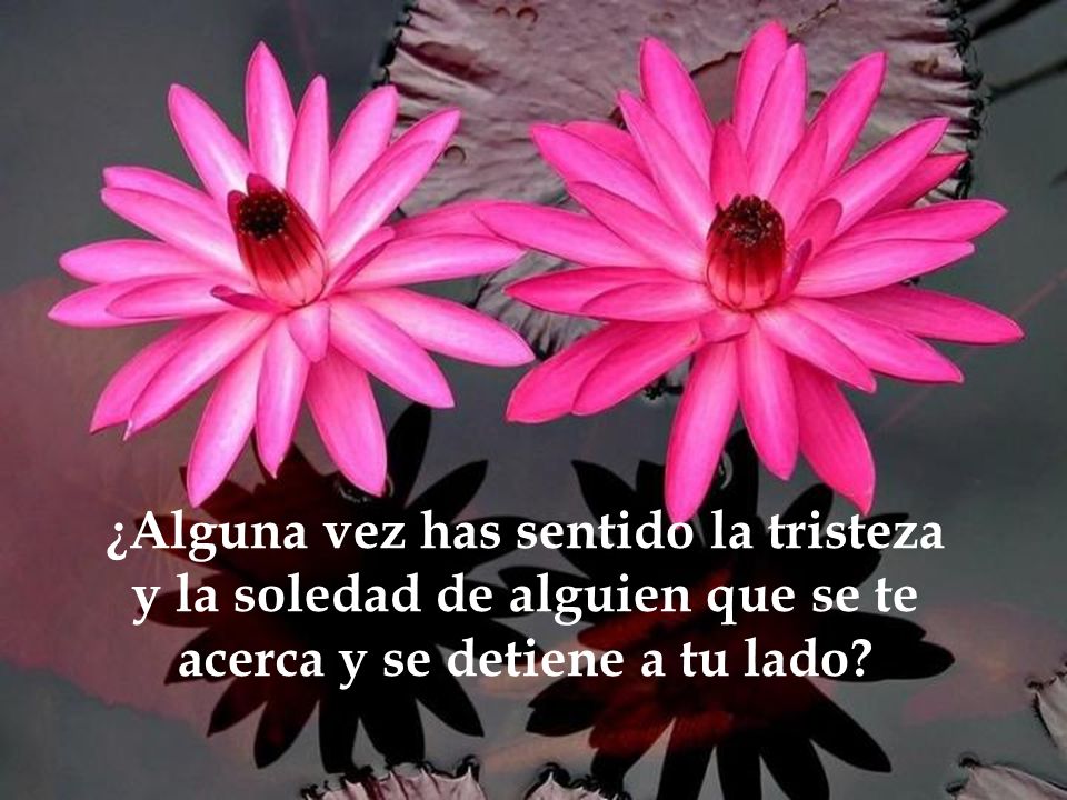 ¿Alguna vez has sentido la tristeza y la soledad de alguien que se te acerca y se detiene a tu lado