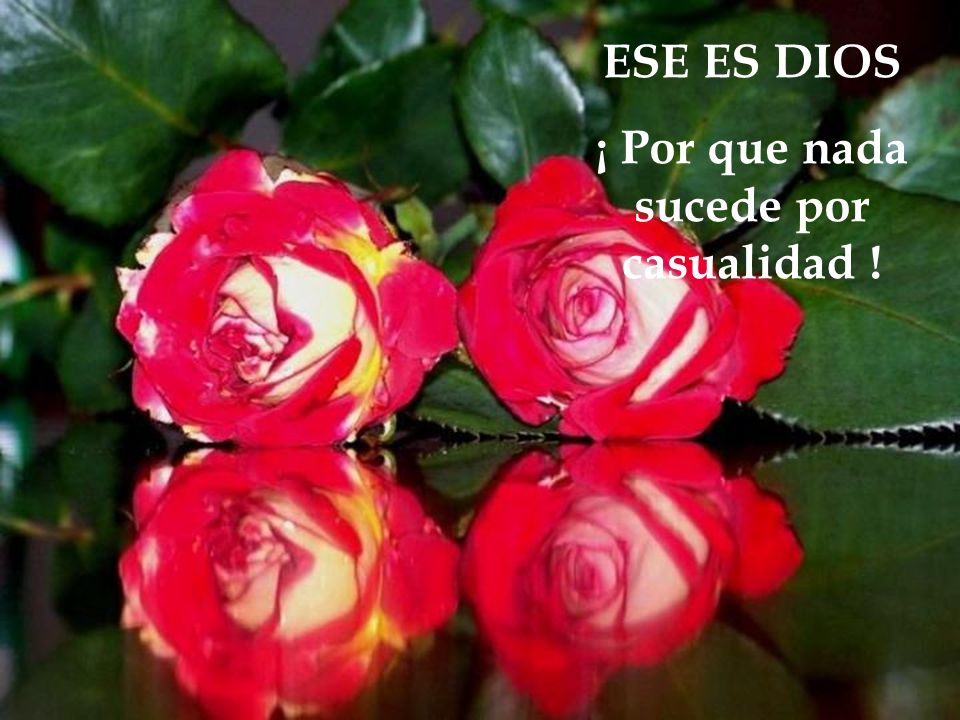 ¡ Por que nada sucede por casualidad !