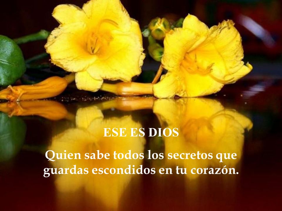 Quien sabe todos los secretos que guardas escondidos en tu corazón.