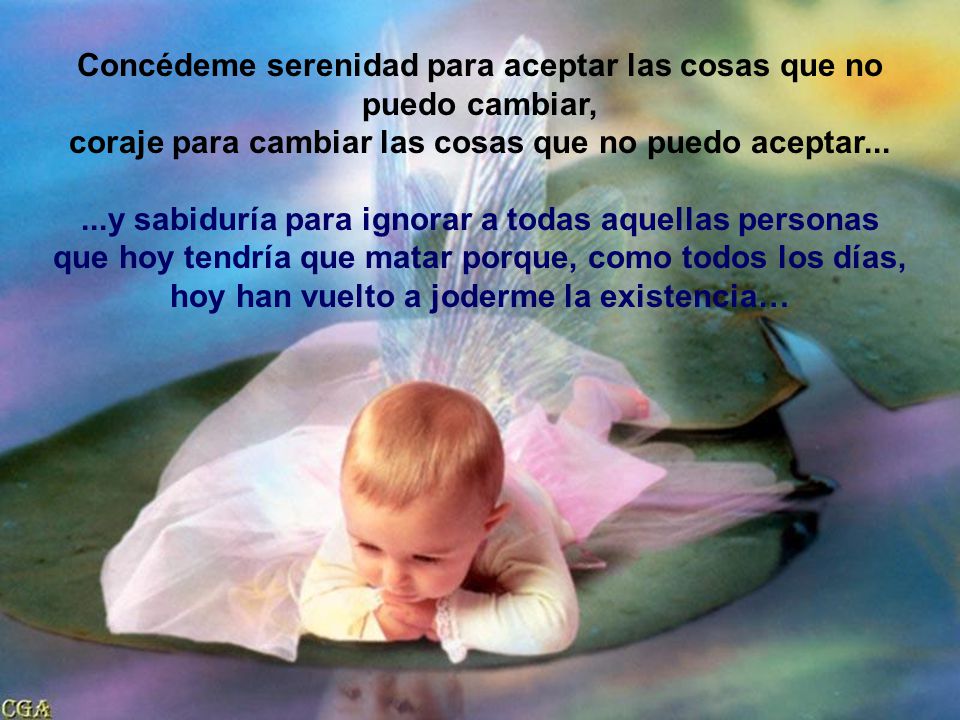 Concédeme serenidad para aceptar las cosas que no puedo cambiar,