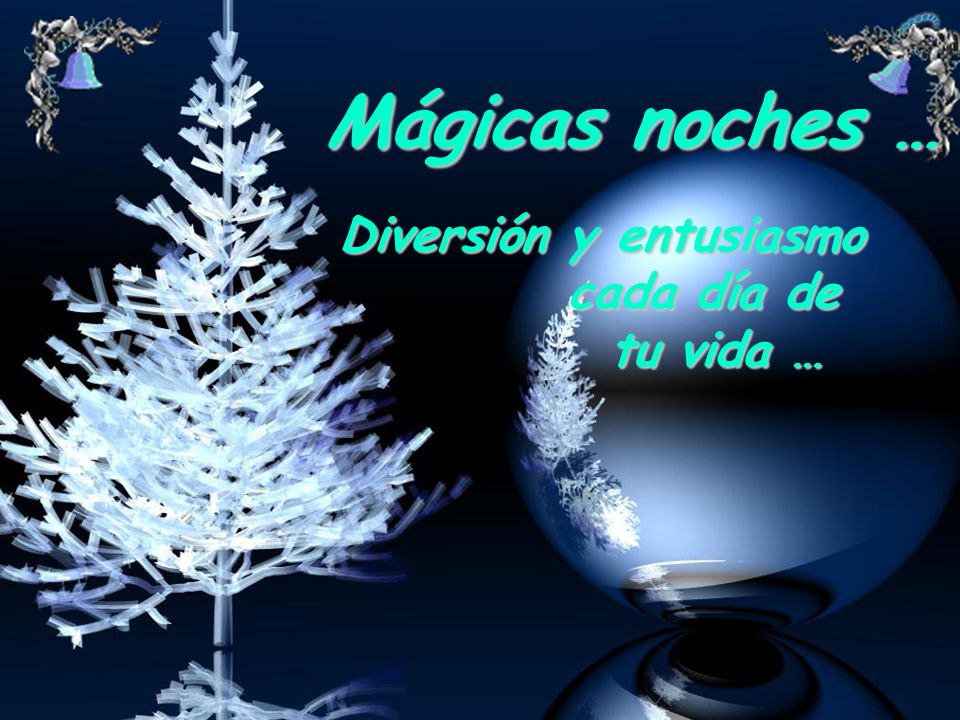Mágicas noches … Diversión y entusiasmo cada día de tu vida …