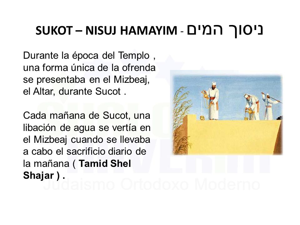 SUKOT – NISUJ HAMAYIM - ניסוך המים