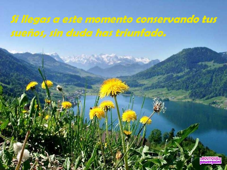 Si llegas a este momento conservando tus sueños, sin duda has triunfado.
