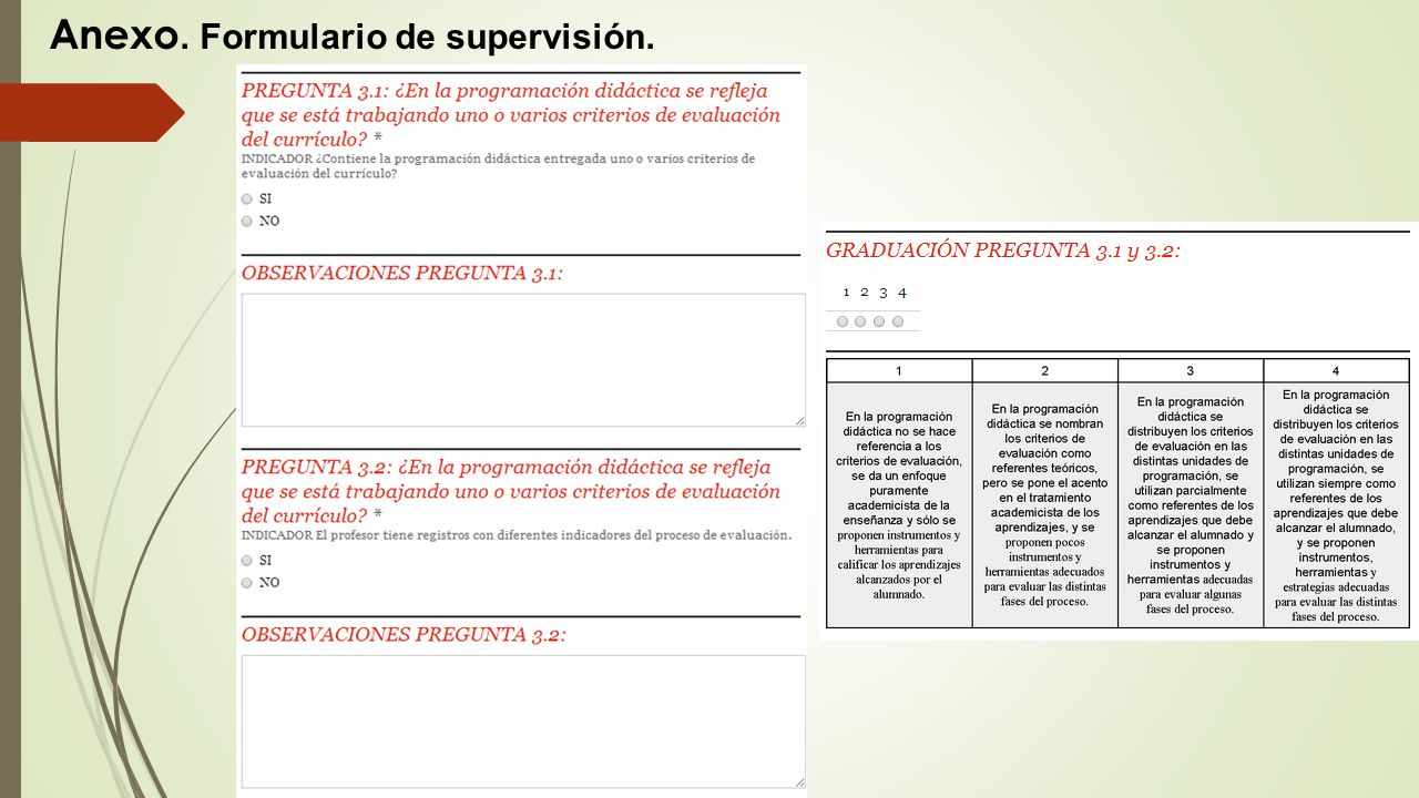 Anexo. Formulario de supervisión.