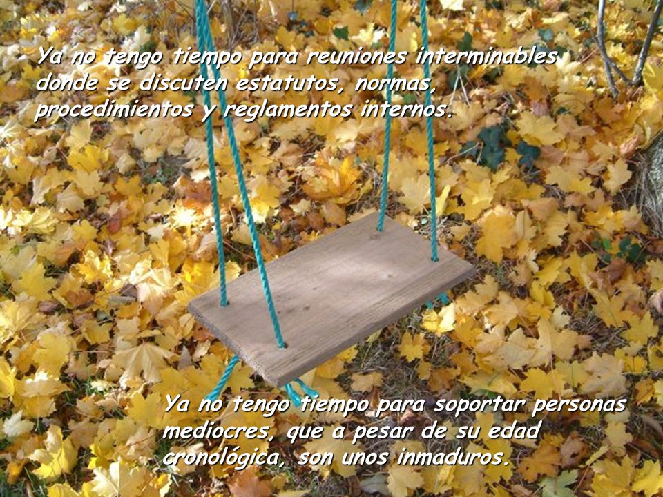 Ya no tengo tiempo para reuniones interminables donde se discuten estatutos, normas, procedimientos y reglamentos internos.