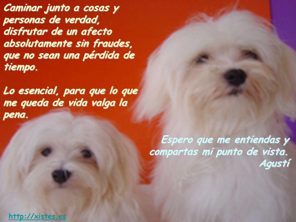 Espero que me entiendas y compartas mi punto de vista. Agustí