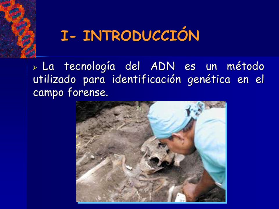 I- INTRODUCCIÓN La tecnología del ADN es un método utilizado para identificación genética en el campo forense.