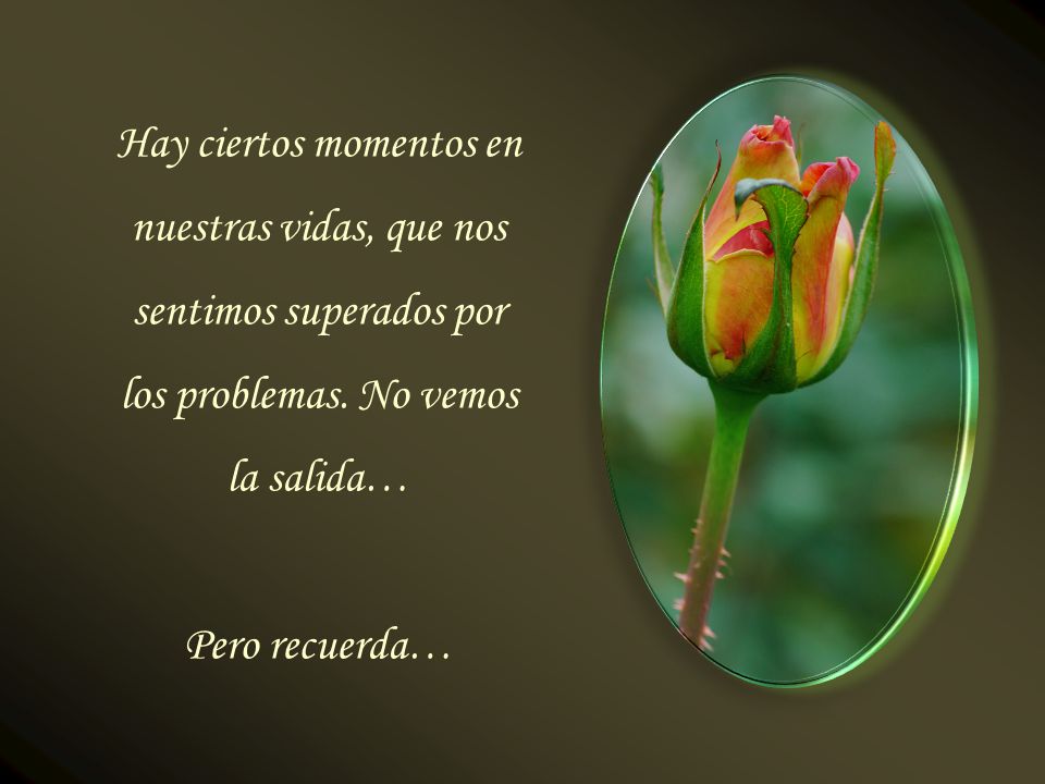 Hay ciertos momentos en nuestras vidas, que nos sentimos superados por los problemas.