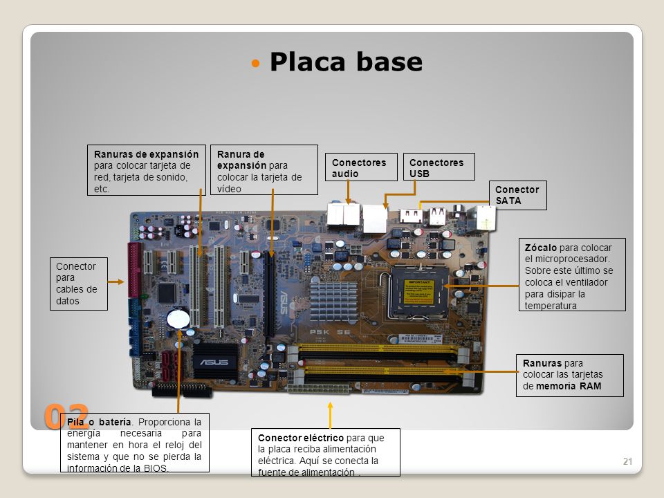 Los buses ¿Qué son Un conjunto de líneas paralelas de conductores eléctricos que interconectan los distintos elementos de un ordenador.