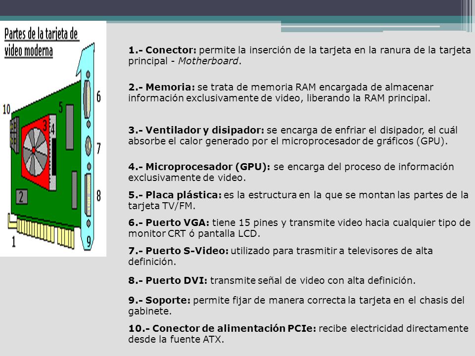 1.- Conector: permite la inserción de la tarjeta en la ranura de la tarjeta principal - Motherboard.