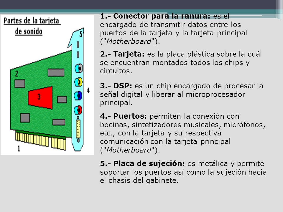 1.- Conector para la ranura: es el encargado de transmitir datos entre los puertos de la tarjeta y la tarjeta principal ( Motherboard ).