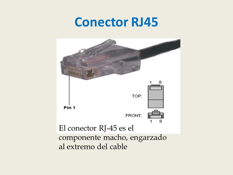 Conector RJ45 El conector RJ-45 es el componente macho, engarzado al extremo del cable