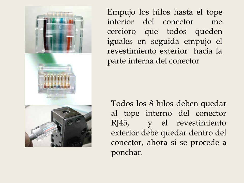 Empujo los hilos hasta el tope interior del conector me cercioro que todos queden iguales en seguida empujo el revestimiento exterior hacia la parte interna del conector