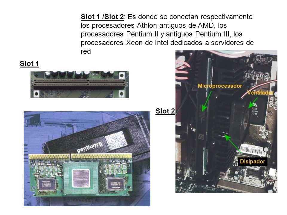 Slot 1 /Slot 2: Es donde se conectan respectivamente los procesadores Athlon antiguos de AMD, los procesadores Pentium II y antiguos Pentium III, los procesadores Xeon de Intel dedicados a servidores de red