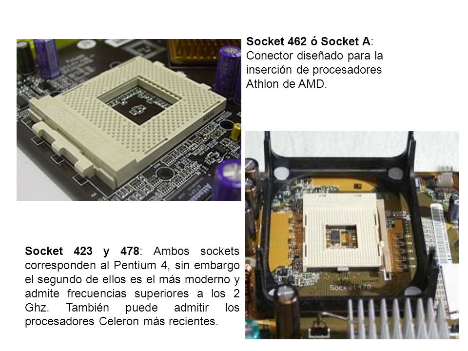 Socket 462 ó Socket A: Conector diseñado para la inserción de procesadores Athlon de AMD.