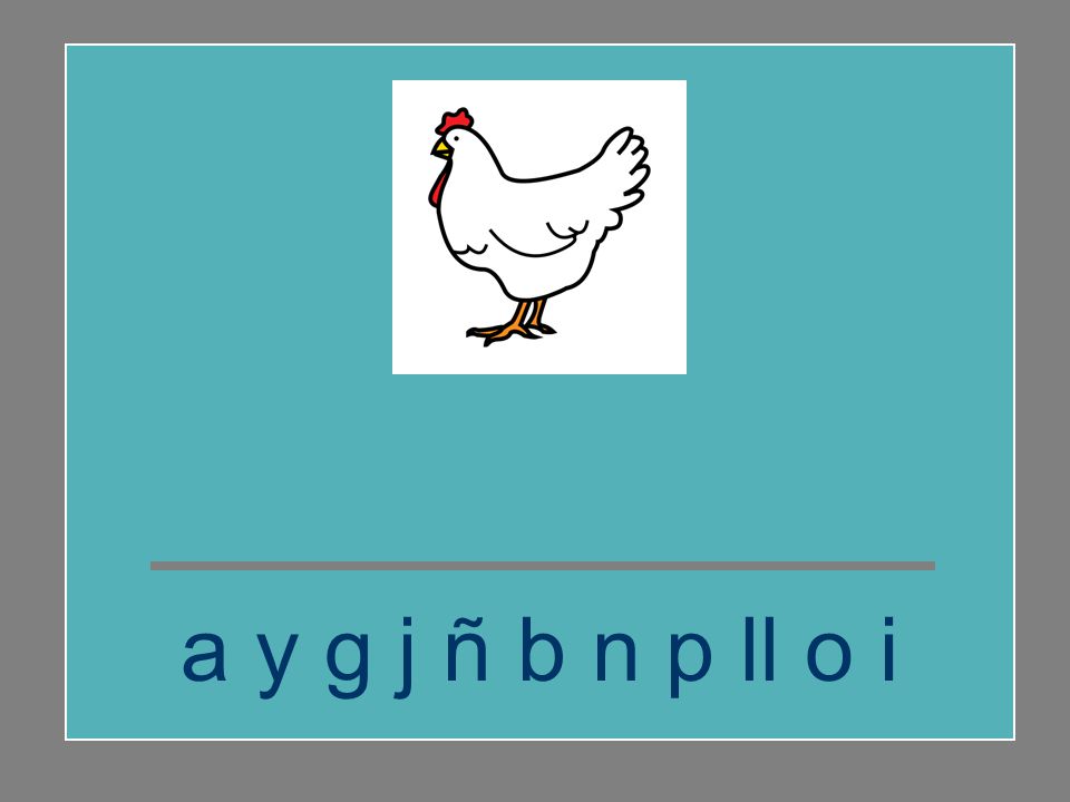 g a ll i n a a y g j ñ b n p ll o i