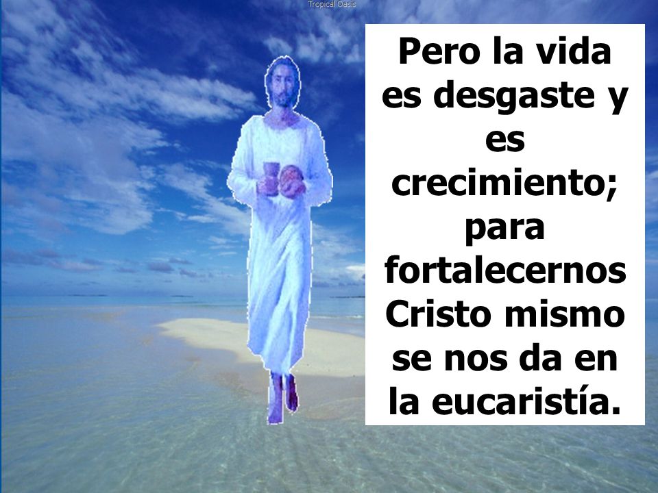 Pero la vida es desgaste y es crecimiento; para fortalecernos Cristo mismo se nos da en la eucaristía.