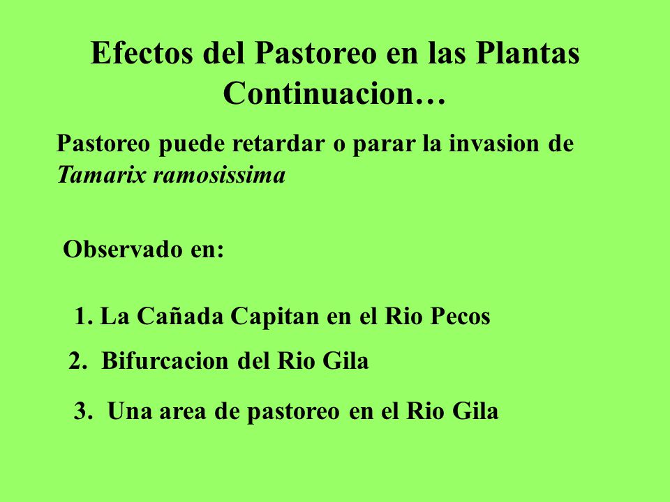 Efectos del Pastoreo en las Plantas