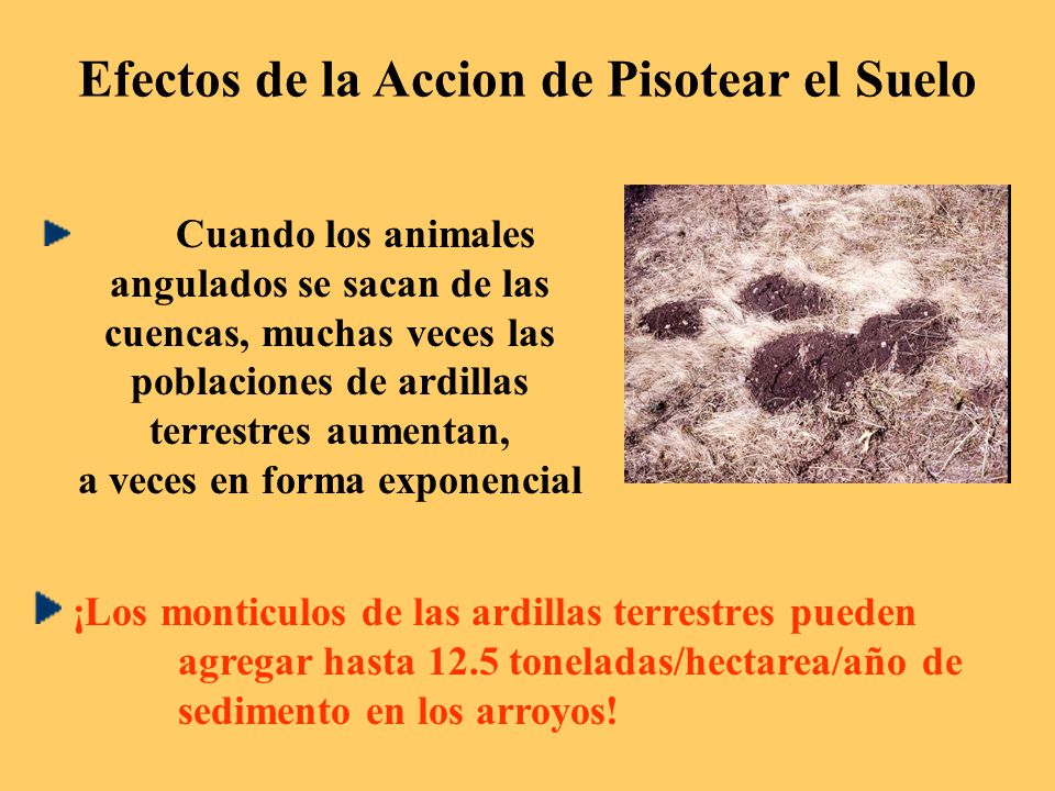Efectos de la Accion de Pisotear el Suelo a veces en forma exponencial