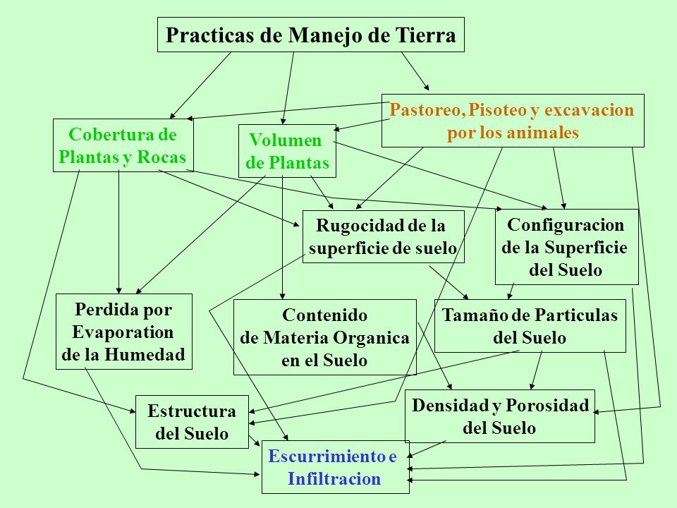 Practicas de Manejo de Tierra Pastoreo, Pisoteo y excavacion