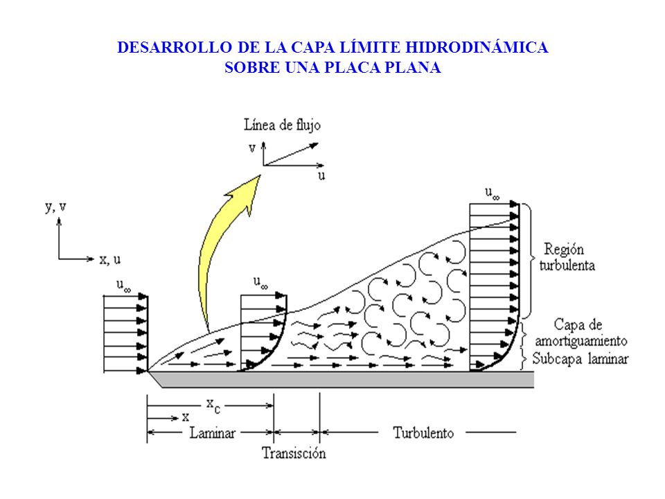 DESARROLLO DE LA CAPA LÍMITE HIDRODINÁMICA SOBRE UNA PLACA PLANA