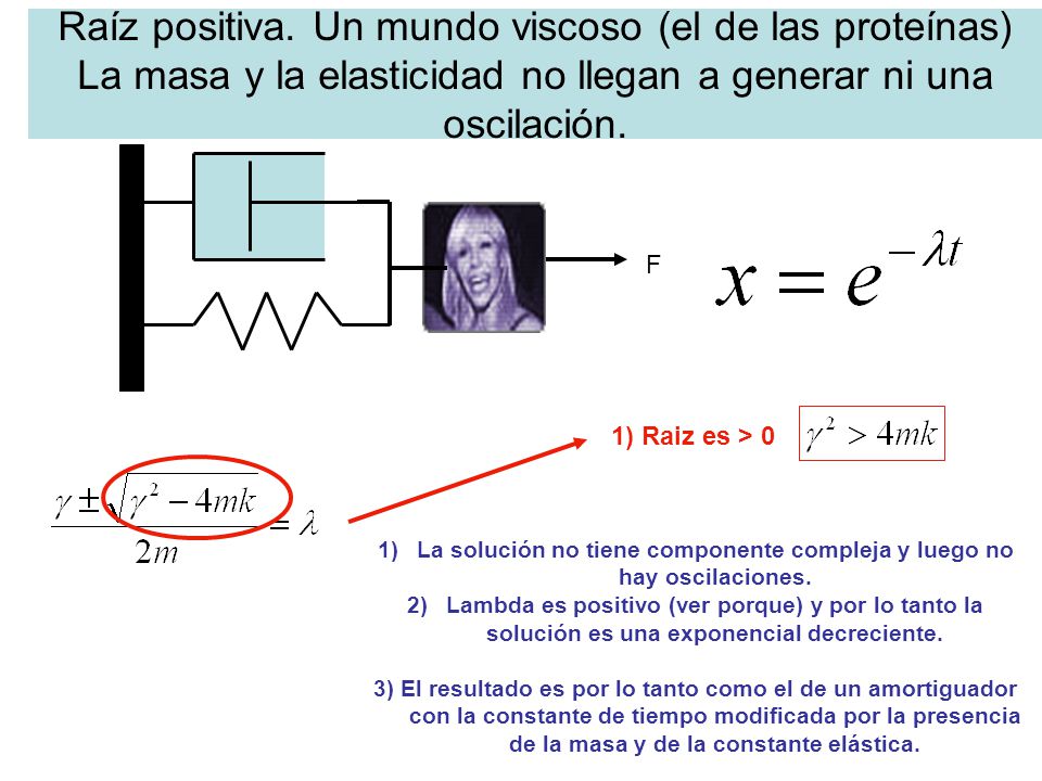 La solución no tiene componente compleja y luego no hay oscilaciones.
