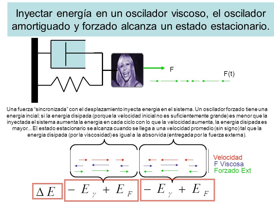 Inyectar energía en un oscilador viscoso, el oscilador amortiguado y forzado alcanza un estado estacionario.