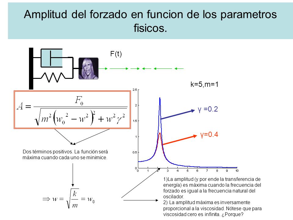 Amplitud del forzado en funcion de los parametros fisicos.