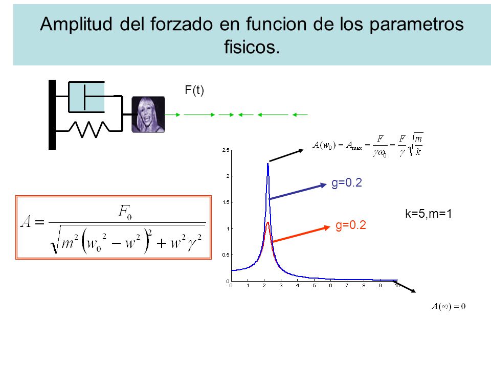 Amplitud del forzado en funcion de los parametros fisicos.