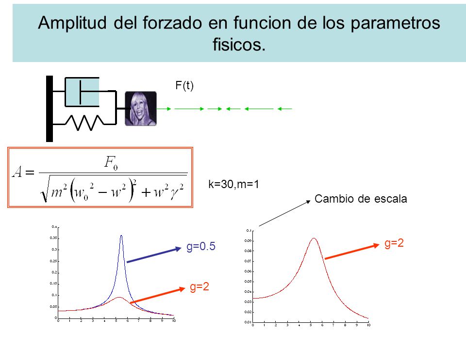 Amplitud del forzado en funcion de los parametros fisicos.