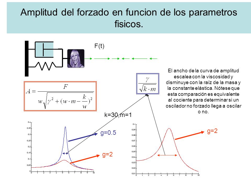 Amplitud del forzado en funcion de los parametros fisicos.