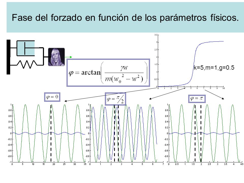 Fase del forzado en función de los parámetros físicos.