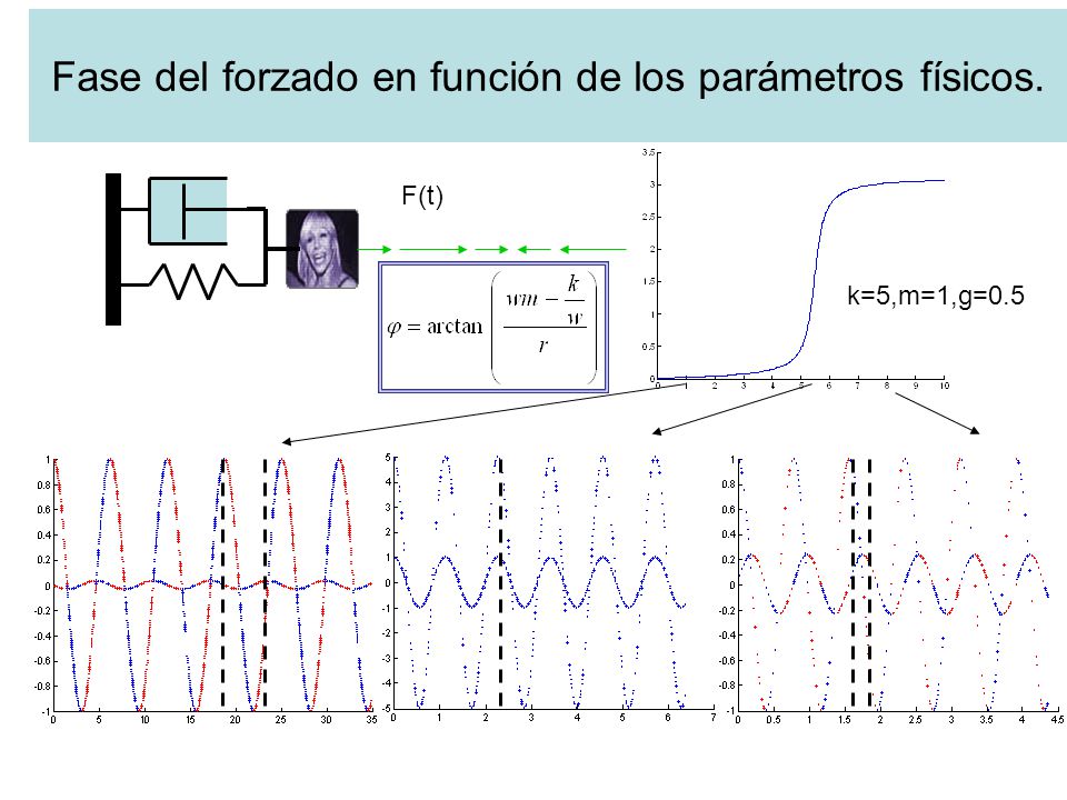 Fase del forzado en función de los parámetros físicos.
