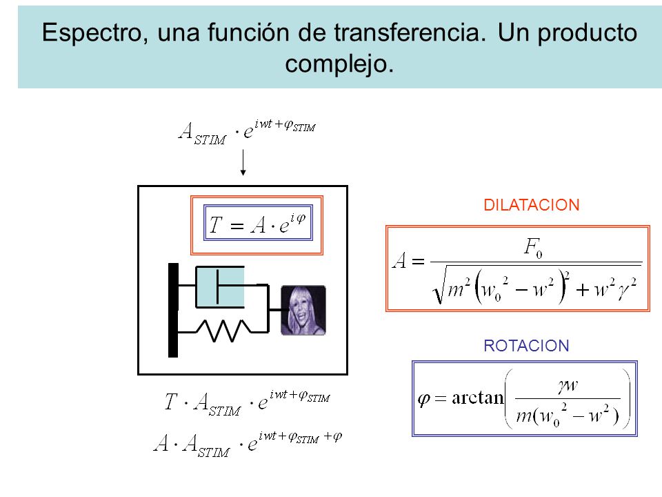 Espectro, una función de transferencia. Un producto complejo.