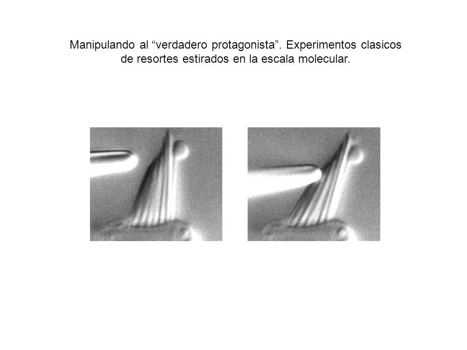 Manipulando al verdadero protagonista