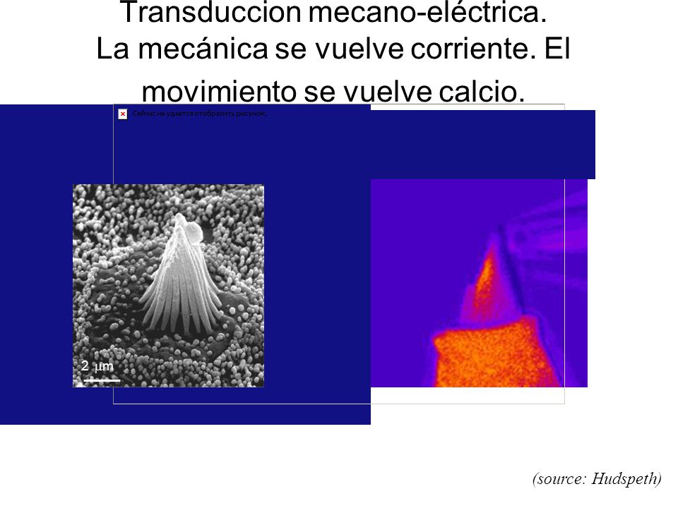 Transduccion mecano-eléctrica. La mecánica se vuelve corriente