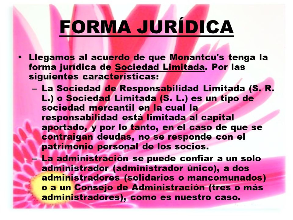 FORMA JURÍDICA Llegamos al acuerdo de que Monantcu s tenga la forma jurídica de Sociedad Limitada. Por las siguientes características: