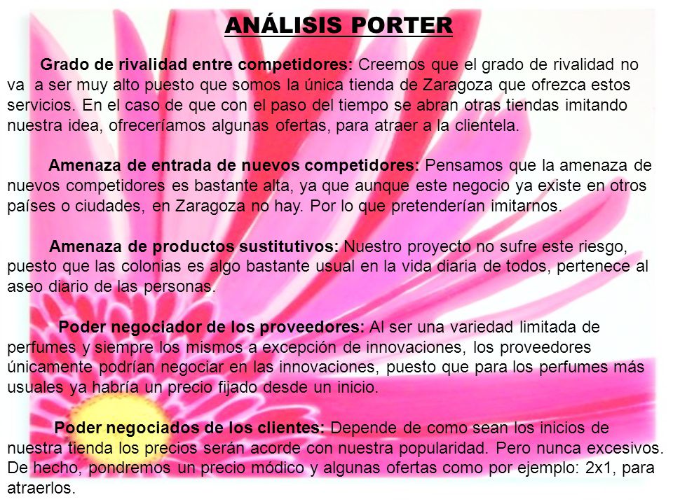 ANÁLISIS PORTER