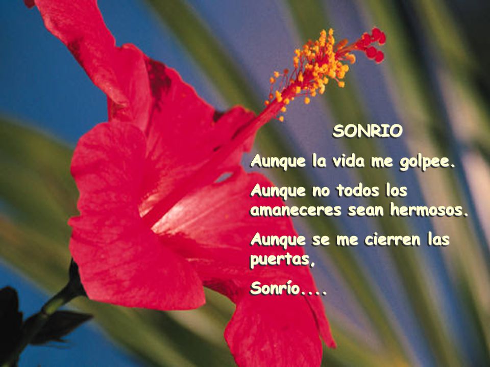 SONRIO Aunque la vida me golpee. Aunque no todos los amaneceres sean hermosos. Aunque se me cierren las puertas,