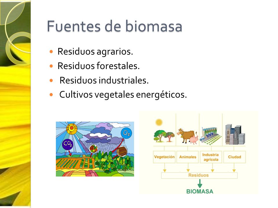Fuentes de biomasa Residuos agrarios. Residuos forestales.