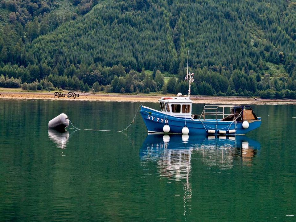 A medida íbamos avanzando hacia el castillo de Eilean Donan el camino nos regalaba paisajes de ensueño…