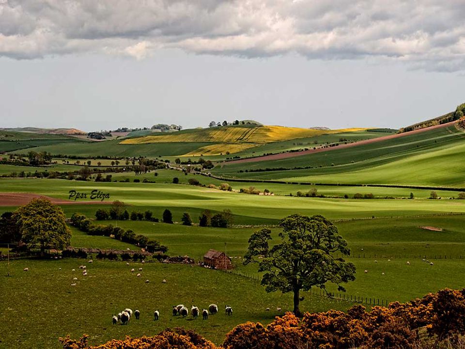 Apenas se entra a las Highlands el paisaje va cambiando a medida vamos subiendo y es un placer para los ojos ver los diferentes colores de verdes … pusimos rumbo al pintoresco pueblo de Pitlochry donde se halla la destilería de whisky Blair Athol.